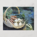 Recherche de agriculture cartes invitations Légume