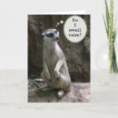 Zoek naar meerkats kaarten Wild