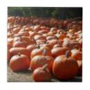 Recherche de novembre carreaux Octobre