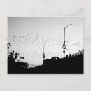 Recherche de vieux bateaux cartes postales Blanc