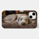 Zoek naar weimaraner iphone hoesjes Hond