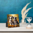 Recherche de le chiot plaques Chiots