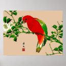 Zoek naar rode papegaai posters Tropische vogel