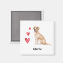 Recherche de labrador retriever magnets Race de chien