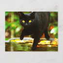 Recherche de chat oiseau cartes postales Jaune
