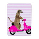 Recherche de il y a magnets Fleurs