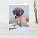 Recherche de chien de carlin vœux cartes Puggle
