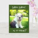 Recherche de toilettage vœux cartes Toiletteur