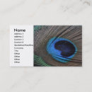 Recherche de plume de paon cartes visite Nature