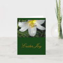 Recherche de pâques cartes Floral