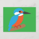 Zoek naar ijsvogels briefkaarten Dier