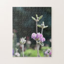 Zoek naar plantkundige puzzels Tuin