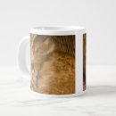 Recherche de chat tigré orange tasses Mignon