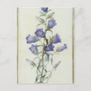Recherche de fleurs 19ème cartes postales Joseph
