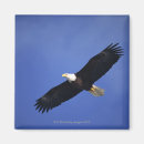 Recherche de les etats unis magnets Fierté
