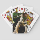 Recherche de pub jeux de cartes Faune