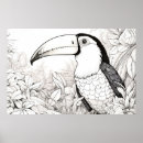 Recherche de toucan art Nature