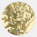 Recherche de algues autocollants Vie marine