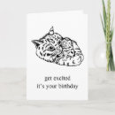 Zoek naar de van de kattenverjaardag For kids