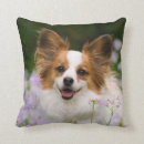Zoek naar papillon kussens Schattig