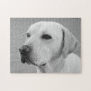 Recherche de labrador retriever photographie Chien
