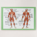 Recherche de corps humain puzzles Médical
