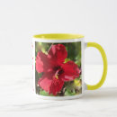 Recherche de de ketmie tasses Hawaï