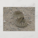 Recherche de sonnettes cartes postales Serpents
