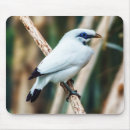 Recherche de bird mousepads Pour tous