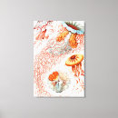 Zoek naar kwallen kunst Ernst haeckel