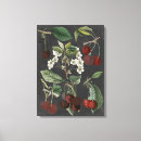 Zoek naar kersen kunst Vruchten