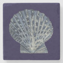 Recherche de écosse dessous de verres Coquilles de mer