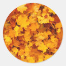 Recherche de paysages autocollants Automne