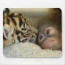 Recherche de orangs outans tapis souris Animaux