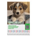 Recherche de flyer posters Pour tous