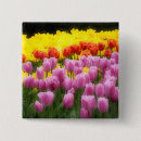 Recherche de jardins badges Coloré