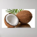 Recherche de noix de coco posters Nourriture