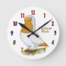 Recherche de pigeons horloges Colombe