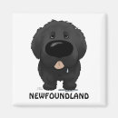 Recherche de chien terre neuve magnets Chiens