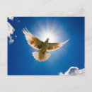Recherche de colombe de paix cartes postales Oiseaux