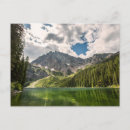 Recherche de arbre de cèdre cartes postales Forêt