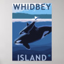 Recherche de orque posters whidbey