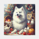 Recherche de eskimo magnete Chien