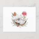 Recherche de quokka cartes postales Animaux