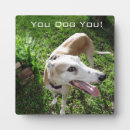 Recherche de animaux plaques Chat