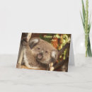 Recherche de koala Anniversaire