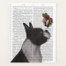 Recherche de terrier bureau fournitures Boston terriers