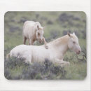 Recherche de jeu sauvage tapis souris Cheval