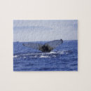 Recherche de bossu Baleine à bosse