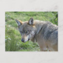 Zoek naar europees briefkaarten Foto